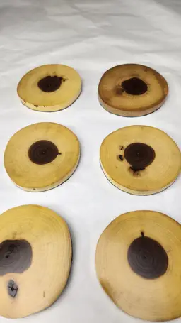 Black Walnut Cookie Coasters Set Of 4