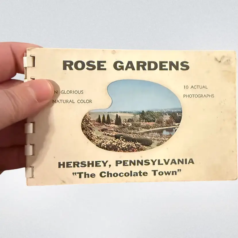Hershey Park Rose Gardens 10 Postcards
