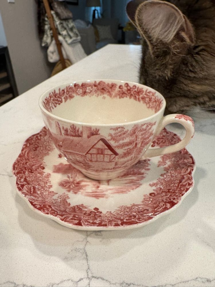 J&G Meakin Romantic England Red Cup And Saucer Set