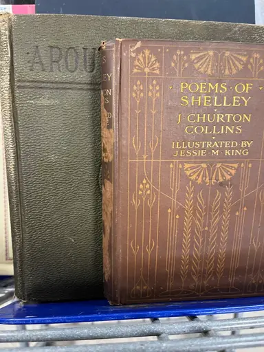 Goodwill Outlet Haul!