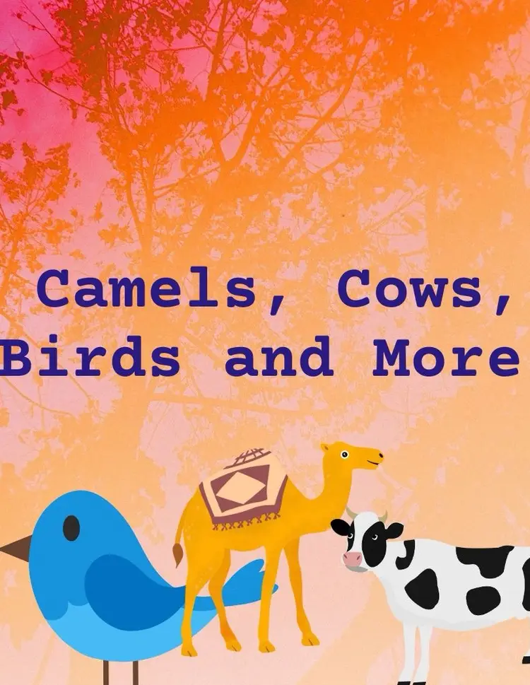 Working On An Issue- Should Be In Time But Might A Minute It Two Late Cows, Birds And more 