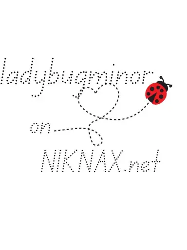 🐞Vintage Variety Pop Up🐞with Ladybugminor