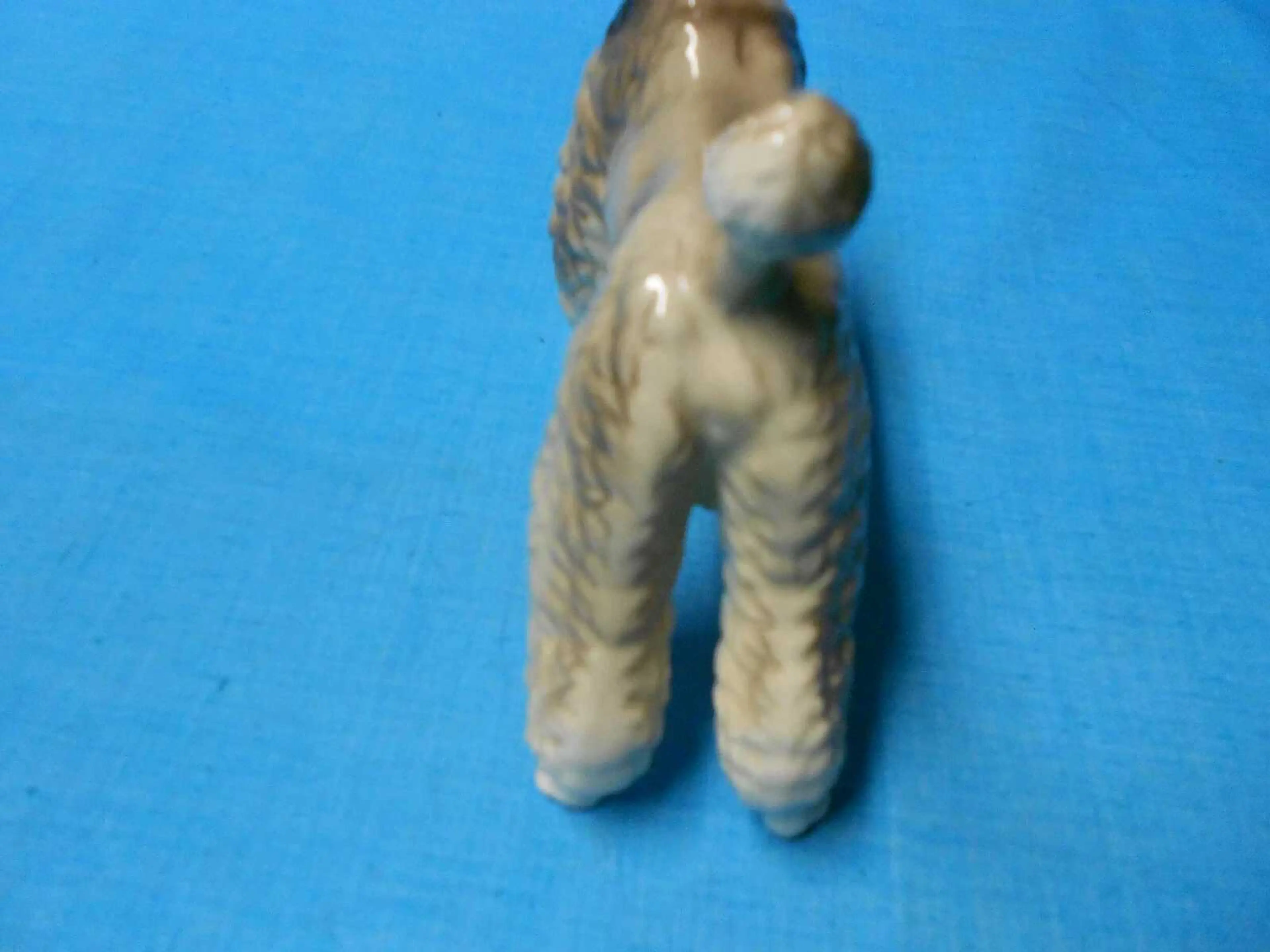 Image 2 of 7