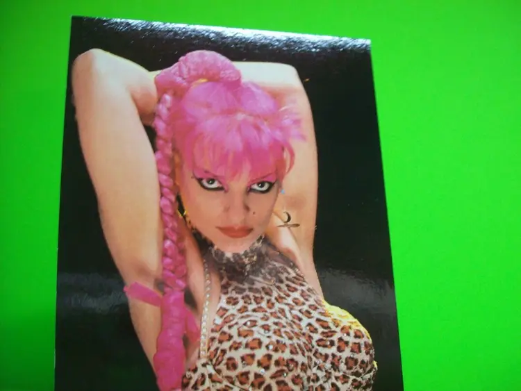 Nina Hagen Postcard Godmother Of Goth Post-Punk New Wave Shock Rock Gothic