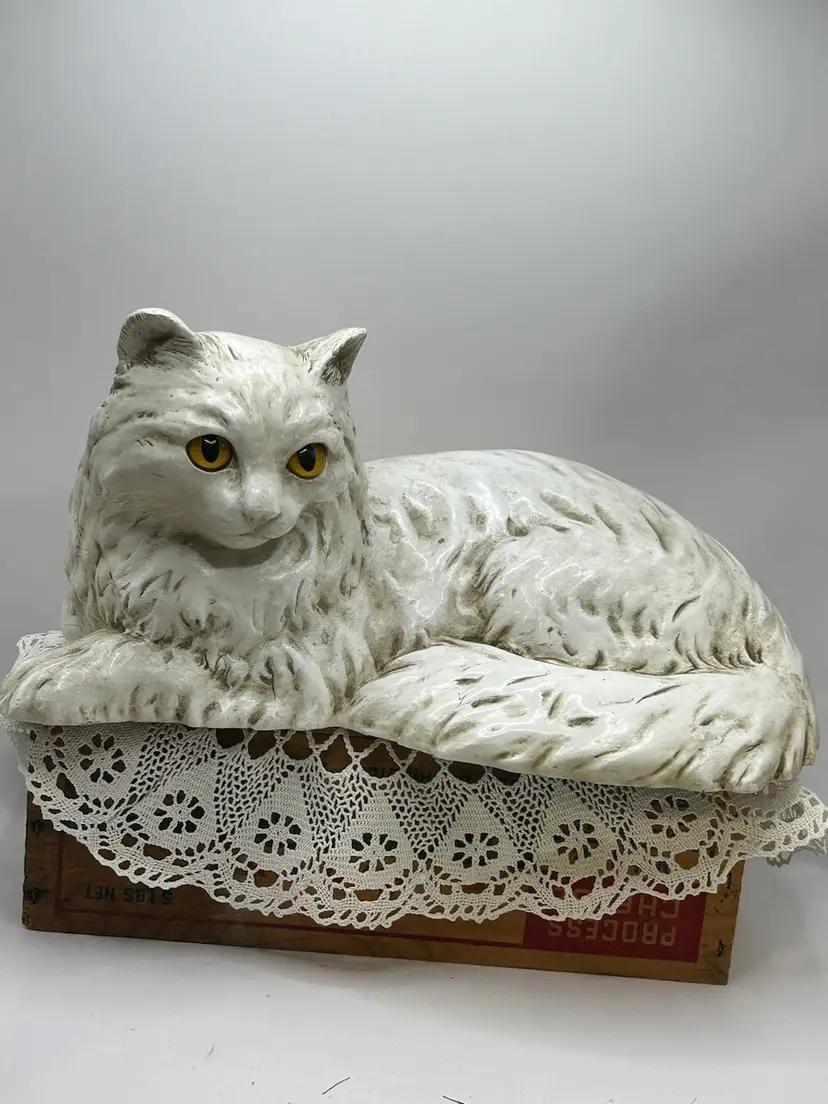 Livestream thumbnail