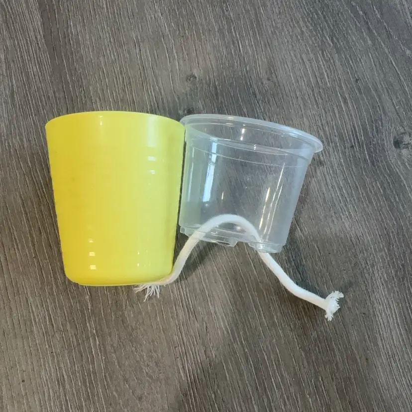 SWP (yellow) (set of 6)