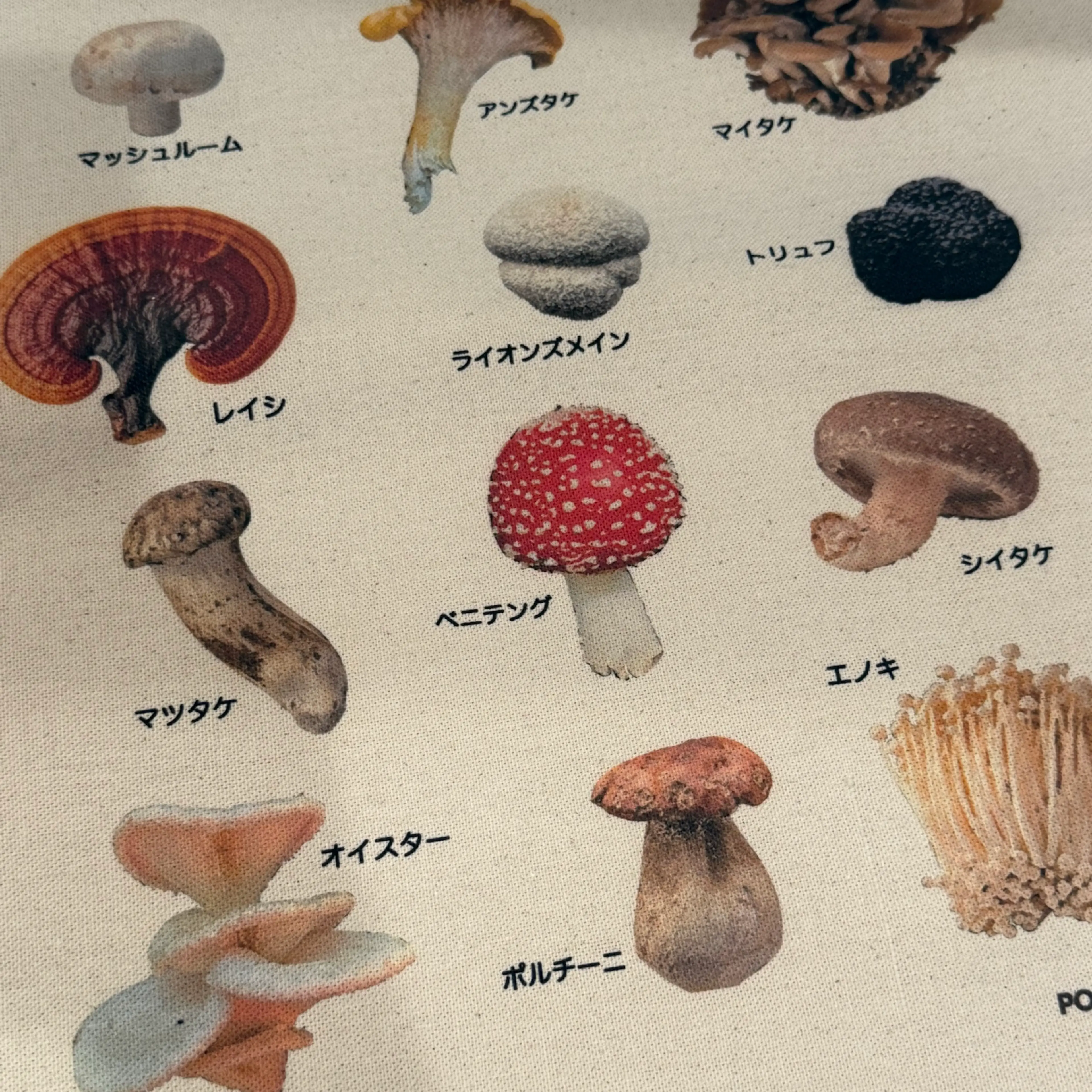 Image 2 of 3