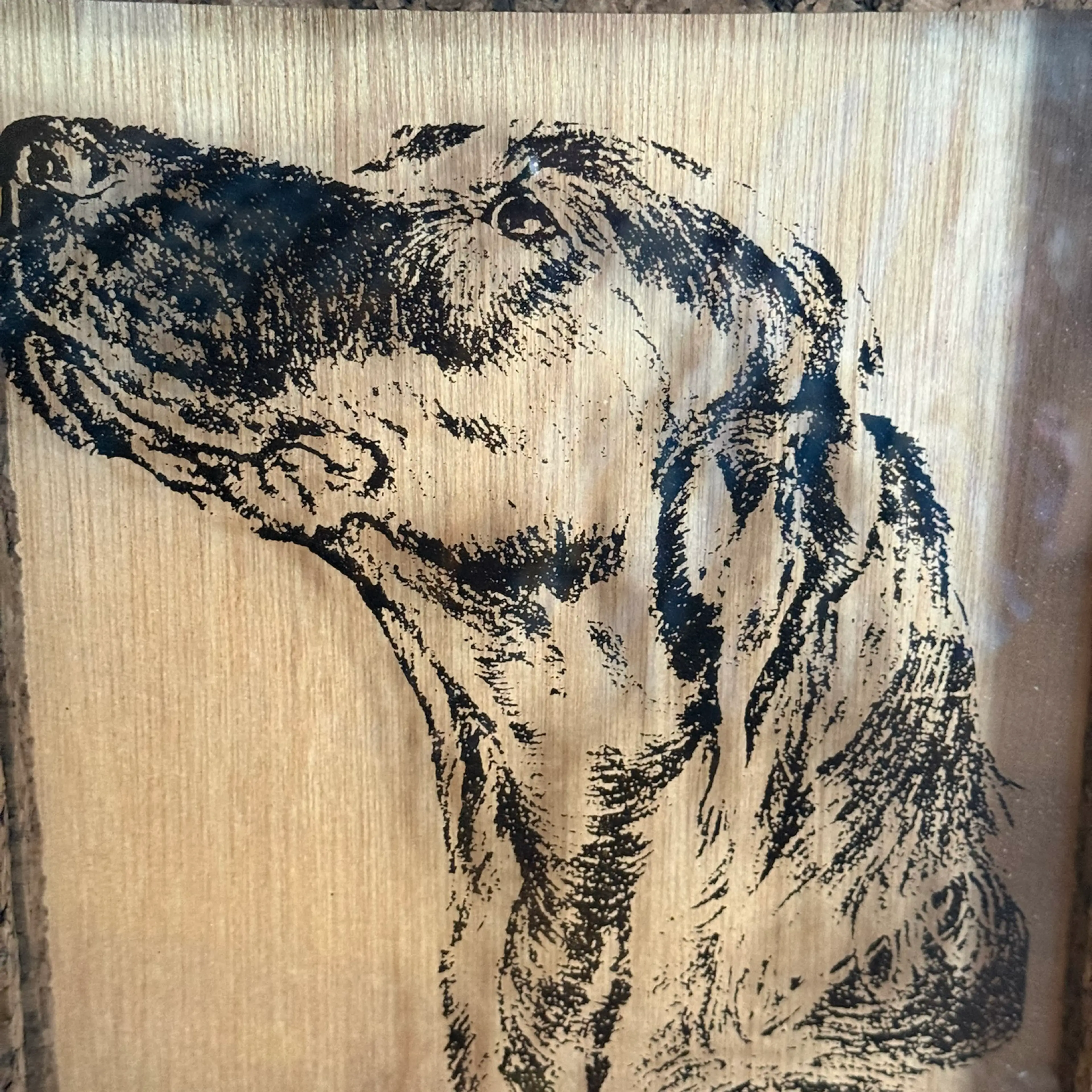 Image 3 of 6