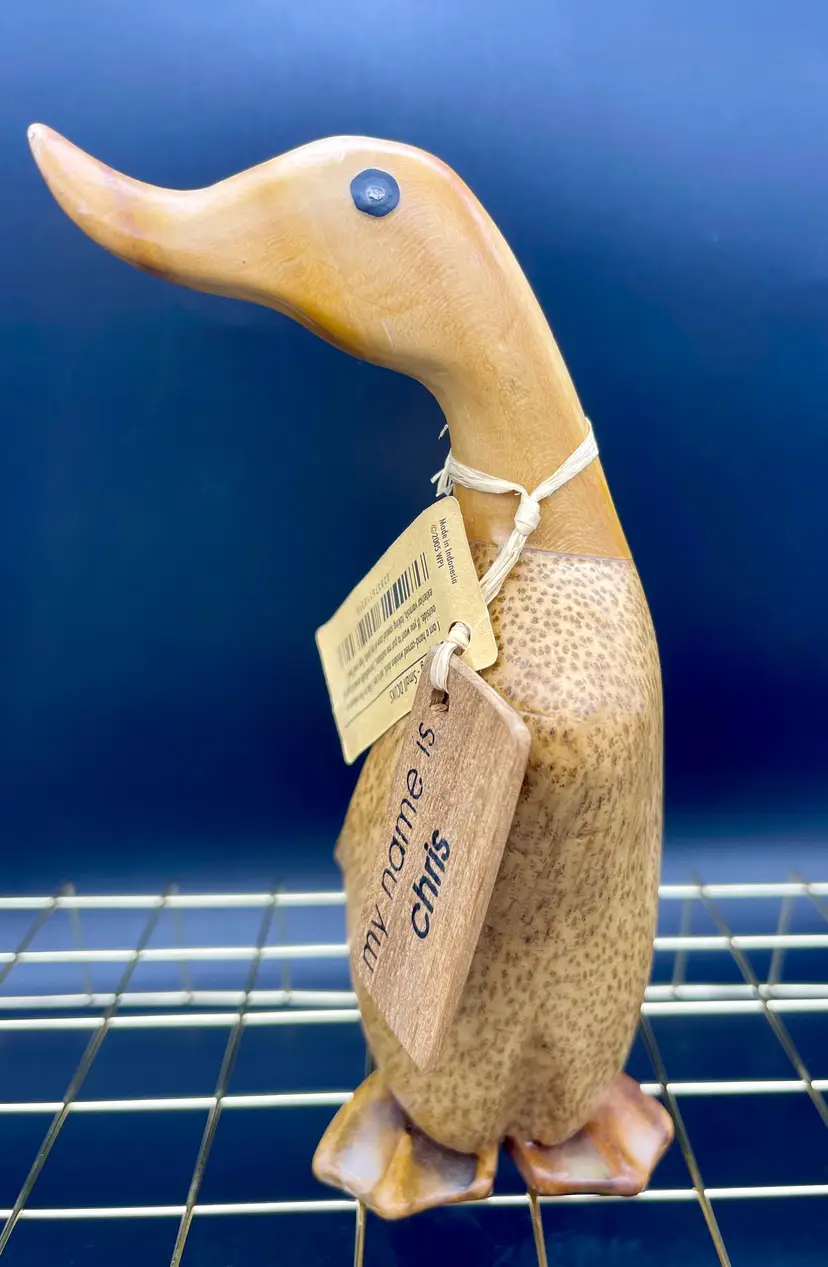 Woodstock Environment DCUK hand-carved wood duckling named Chris.
