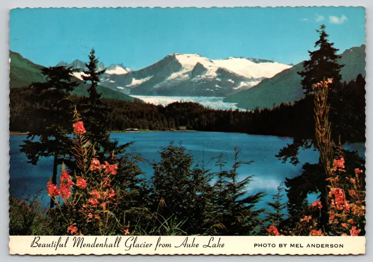 Postcard Beautiful Mendenhall Glacier from Auke Lake Alaska Geomorphology