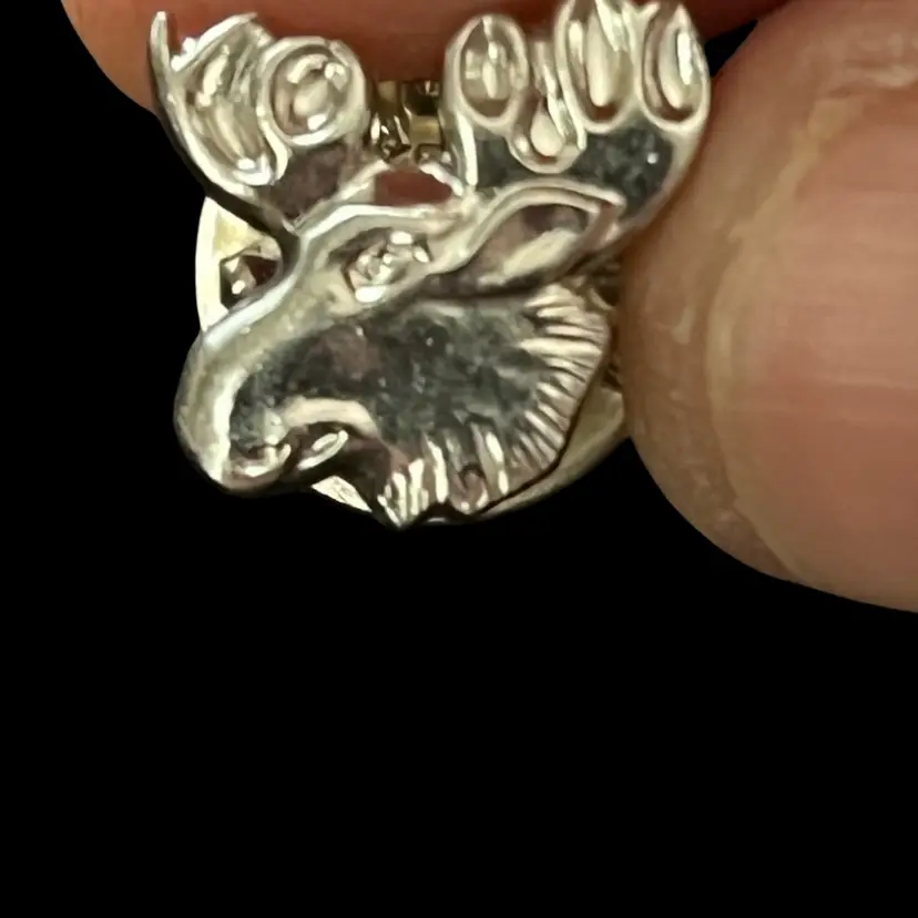 Pin Back Or Brooch As Pictured