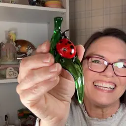 Glass Ladybug