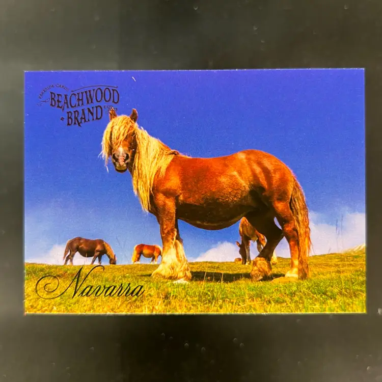 Ponies - 2025 Parkside Beachwood Brand