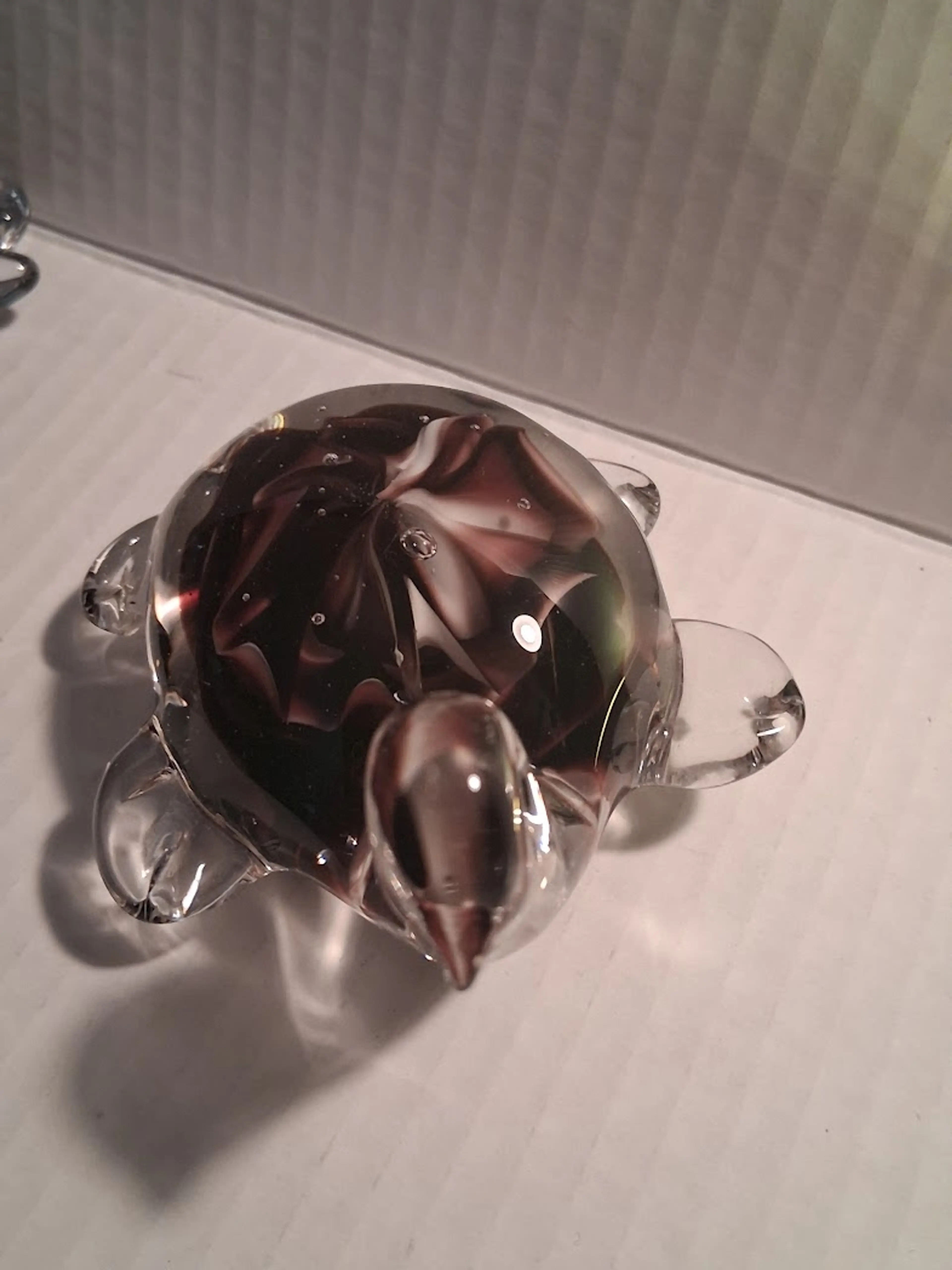 Image 2 of 5