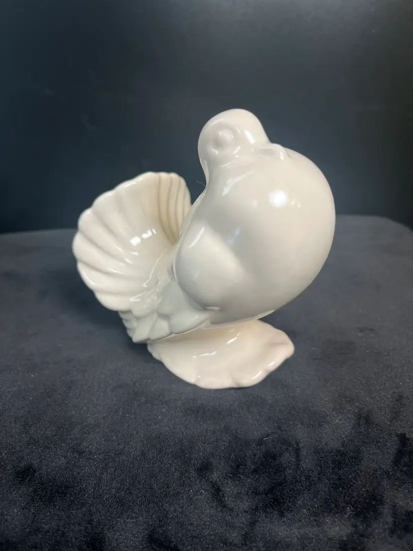 Glossy Ivory Glazed Dove