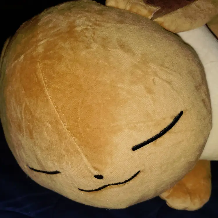 Pokemon Center Eevee Sleeper Plush Eeveelutions Plush Rare Authentic Tags