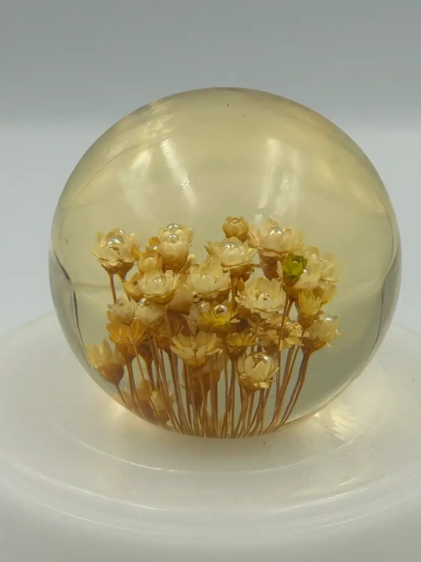 Vintage MCM Lucite Paperweight With Real Flowers Glows