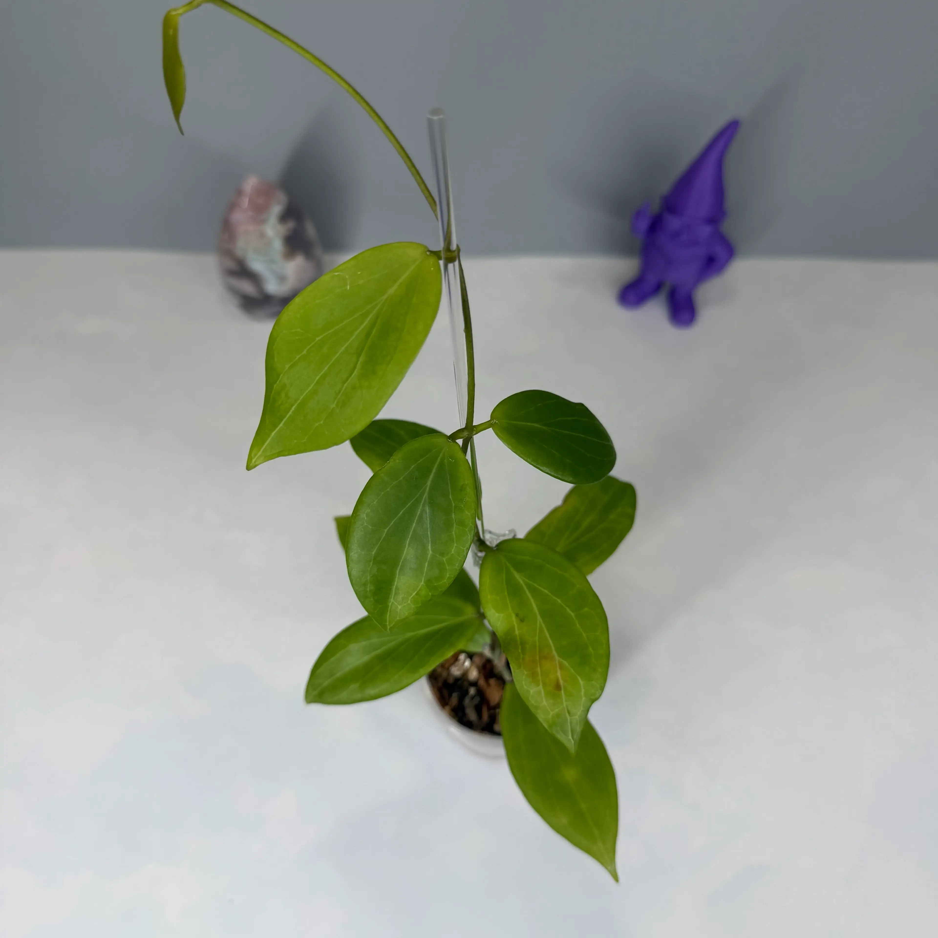 Image 2 of 3