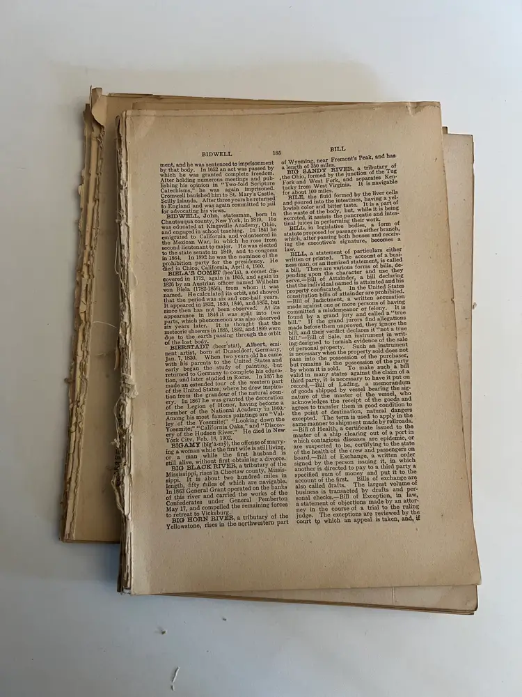 Old Book Pages from 1909. Book Page Bundle. 100+ Beautifully Aged Old Pages. Upcycle, Altered Art Collage, Mixed Media, Ephemera, Journaling