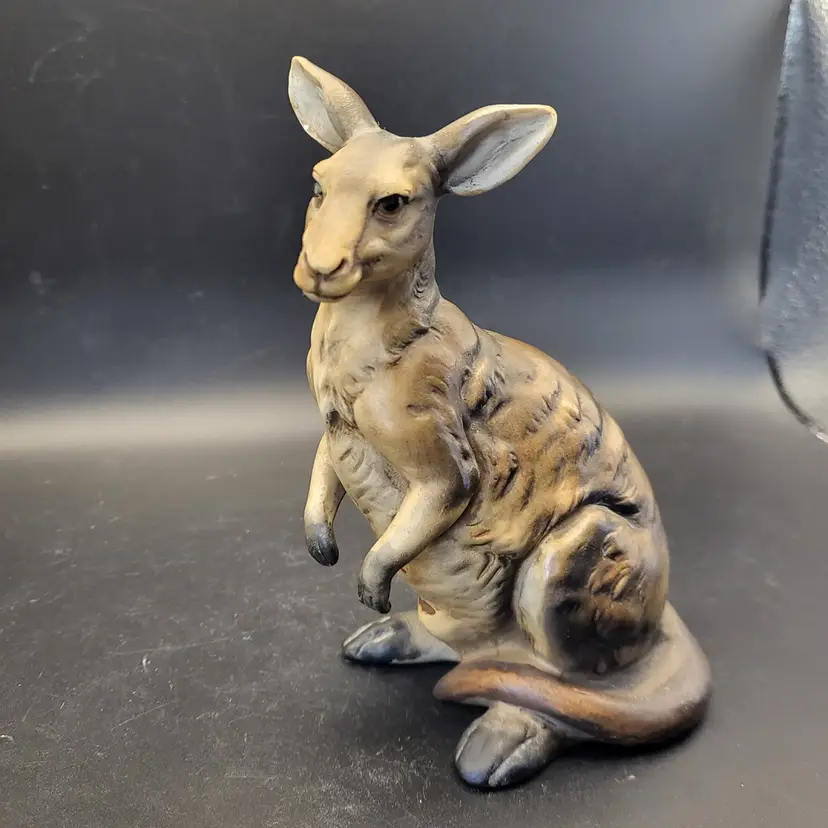 UCTCI Japanese Kangaroo