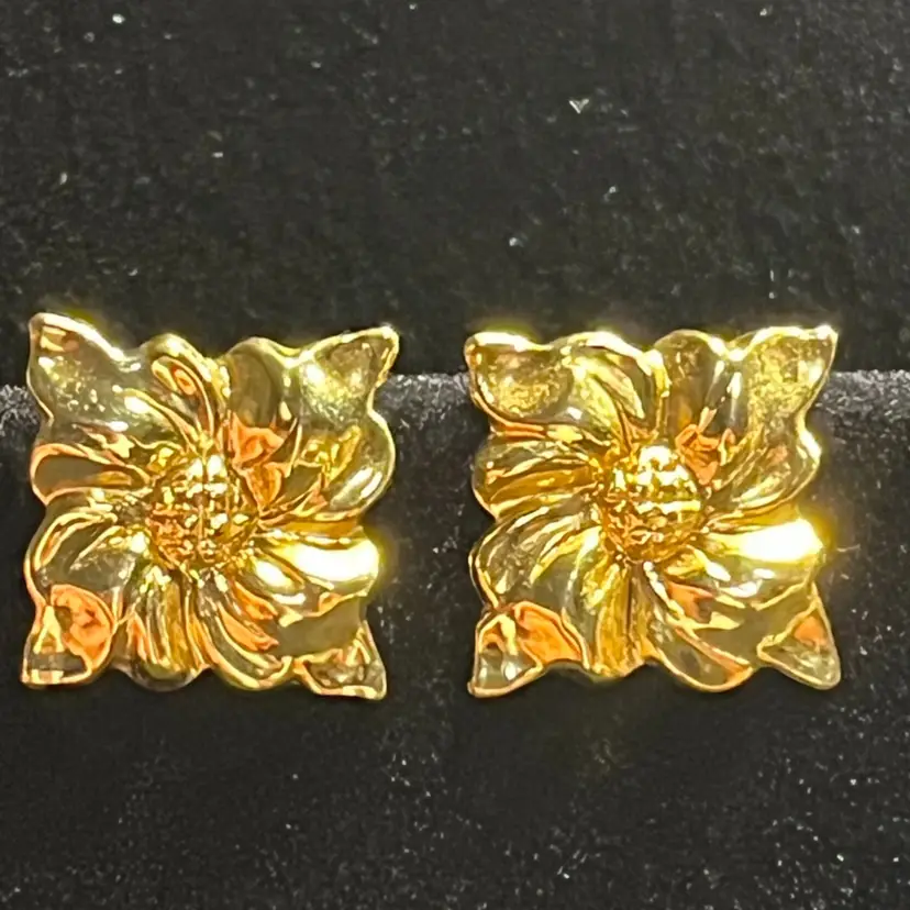 Earrings As Pictured