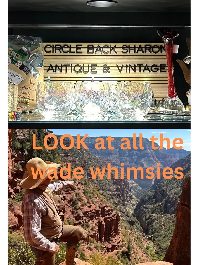 Wade Whimsies With Circle Back Sharon