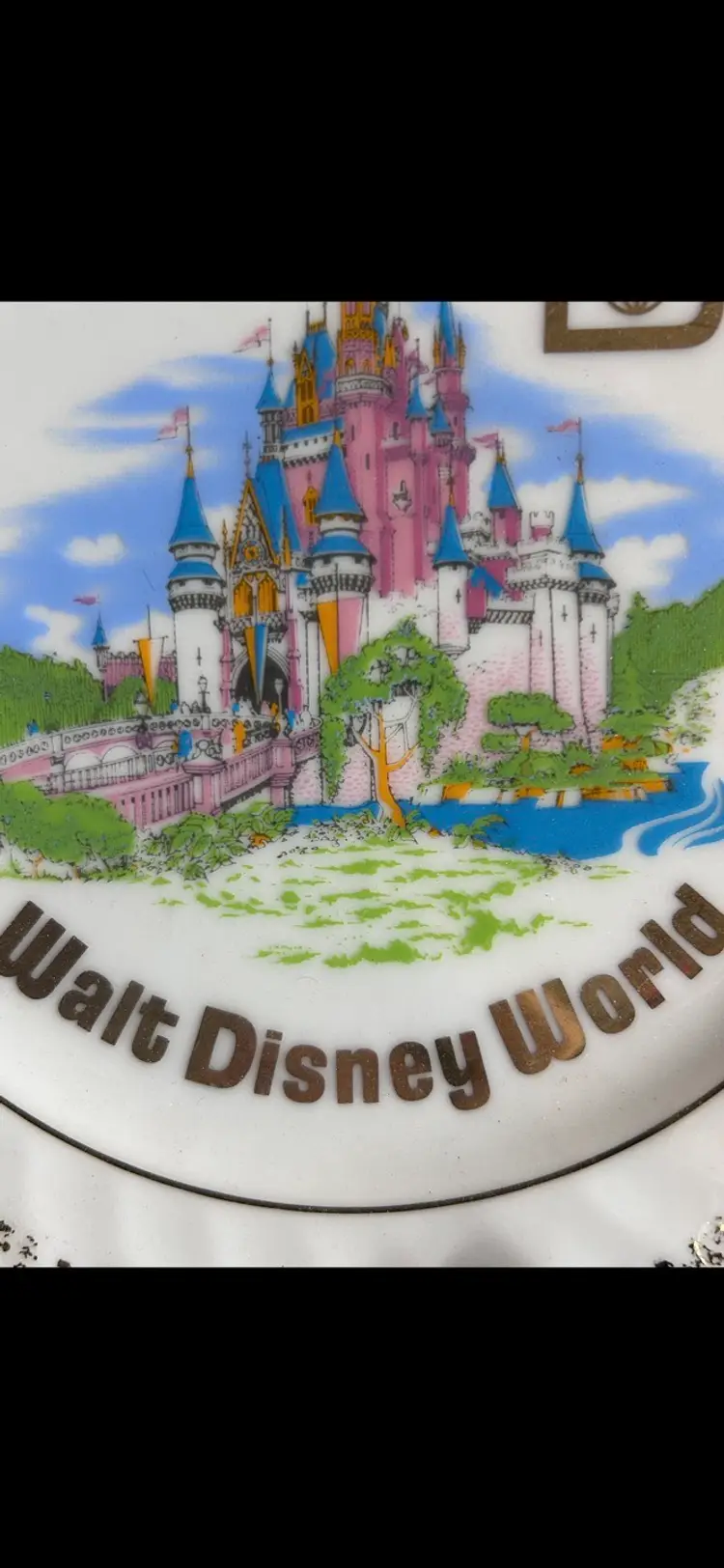 VTG Walt Disney World Souvenir Plate Sleeping Beauty Castle
