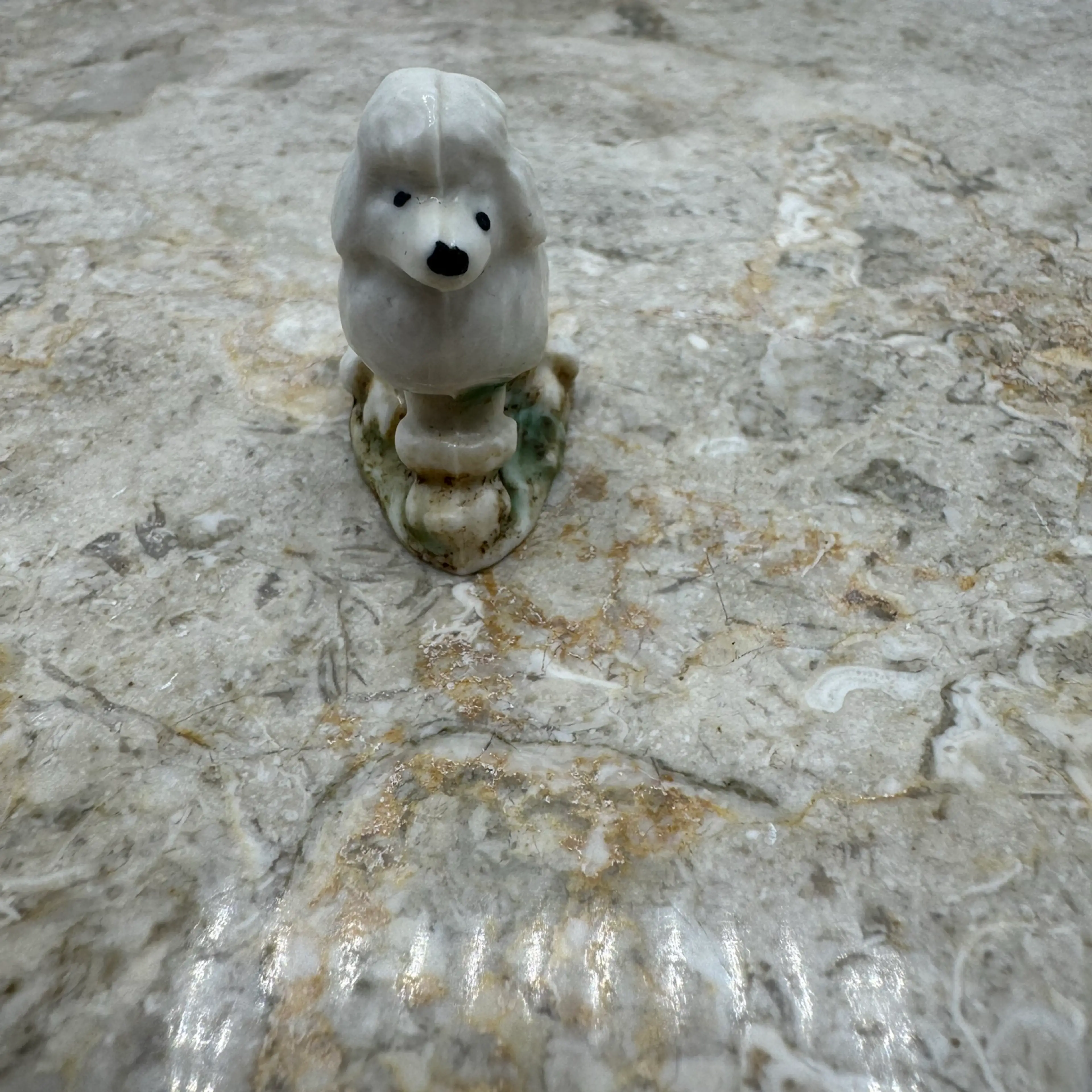 Image 4 of 7