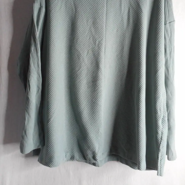 Ribbed Green Long Sleeve knit top Ava Viv Sz X round neck