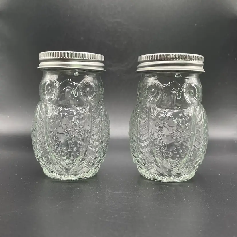 Clear Glass Owl Salt Pepper Shakers Jars Kitchen Set of 2