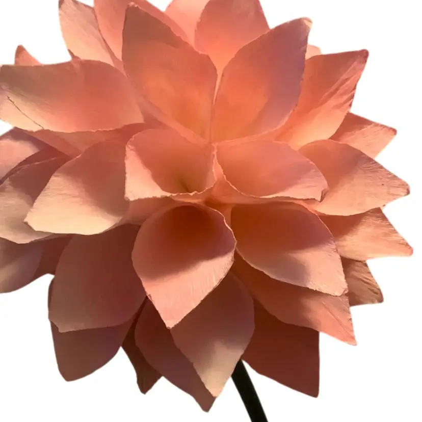 #01 - 190  Handcrafted Baby’s Breath Pink Color Crepe Paper Flowers Some UV Reactivity Made By Me Blossom Is 6” In Diameter And The STEM Is Approximately 16” Long Can Fold To Shorten It