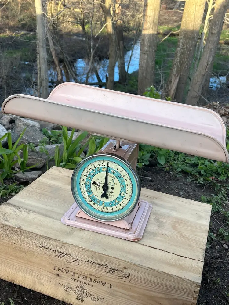 Mid Century Pink Metal Nursery Scale With Illustrations Works!