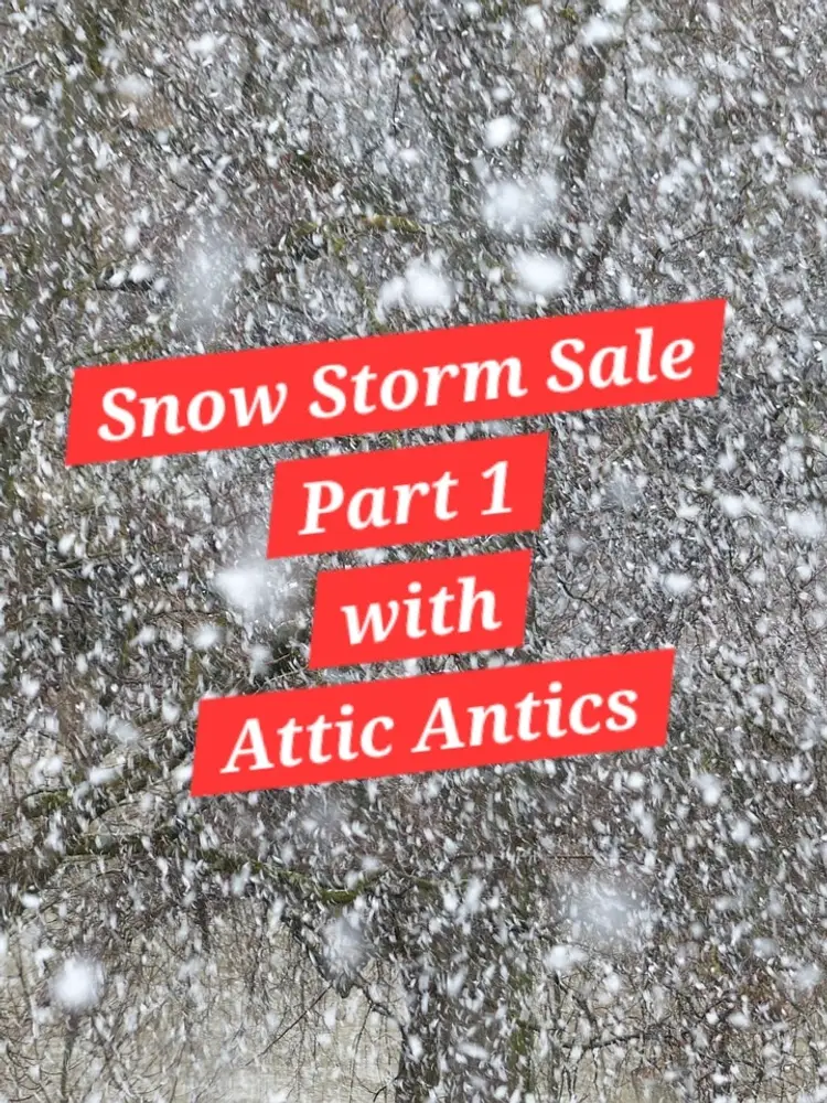 Snow Storm Sale Part 1