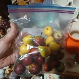 Vintage plastic acorns etc.