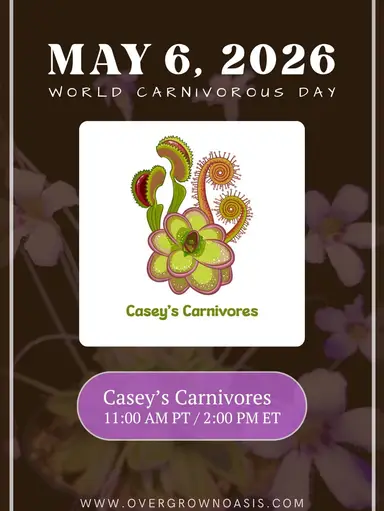 Happy World Carnivorous Plant Day!