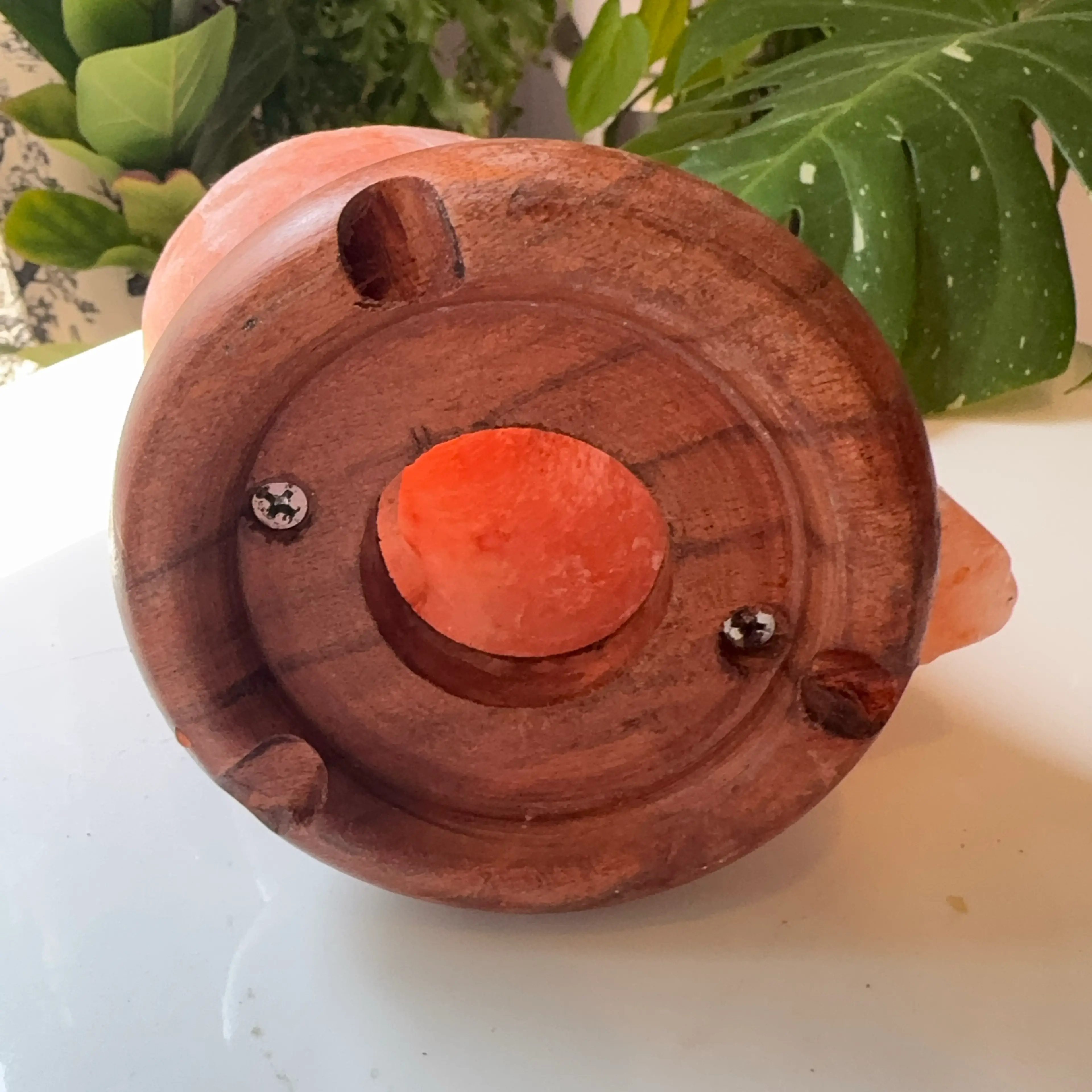 Image 5 of 5