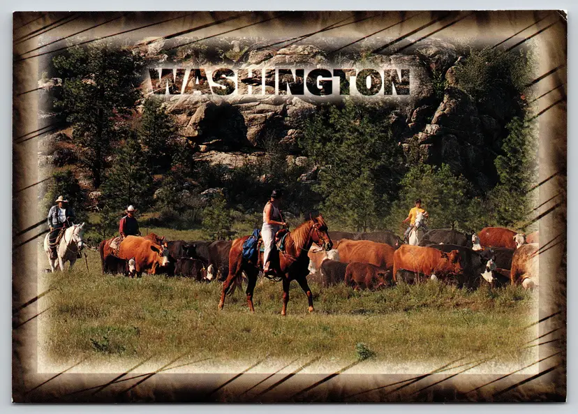Postcard Cattle Ranching Washington Ranchers on Horseback  - John Marshall - 15043