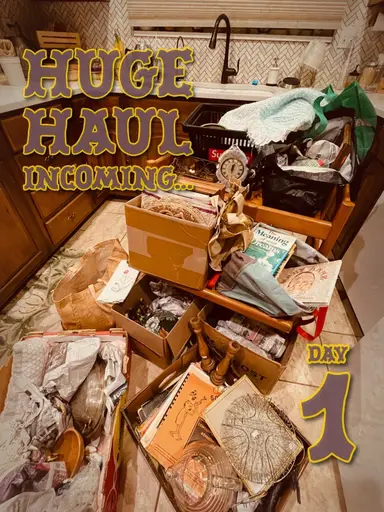 HUGE HAUL Incoming… Day 1 🔍