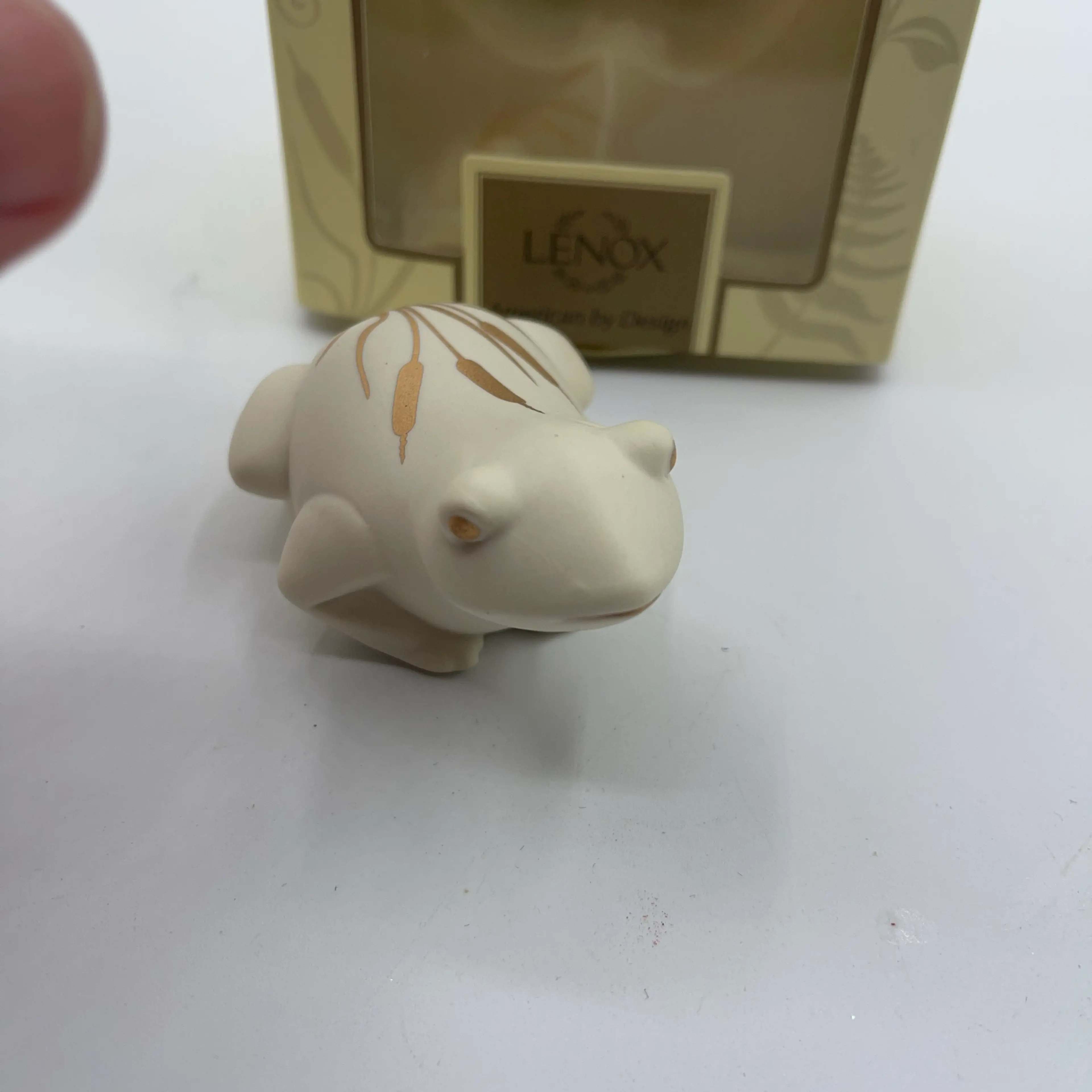 Image 3 of 5