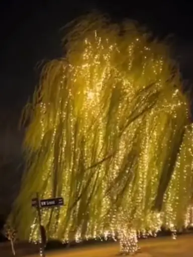 Added More From The Ten 