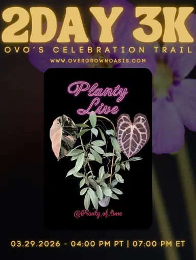 Trail Day Live! Alocasias, Anthuriums, Hoyas!