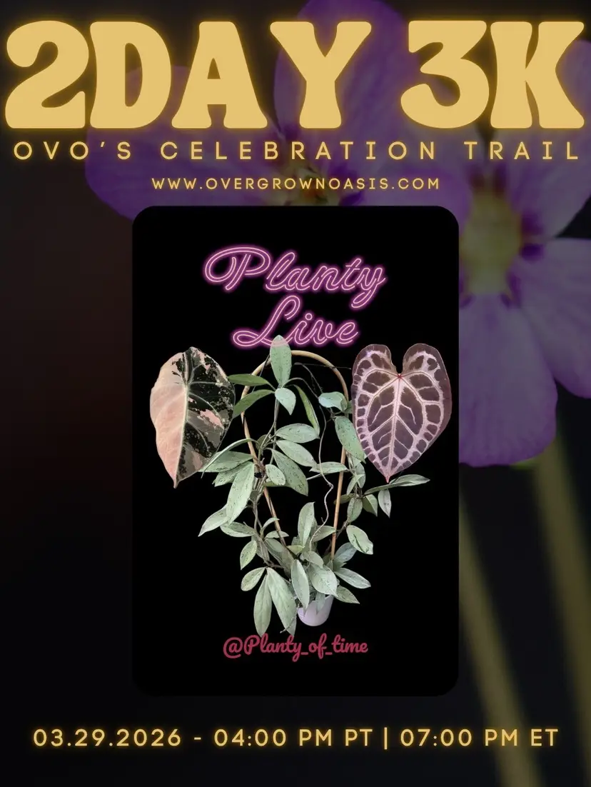 Livestream thumbnail