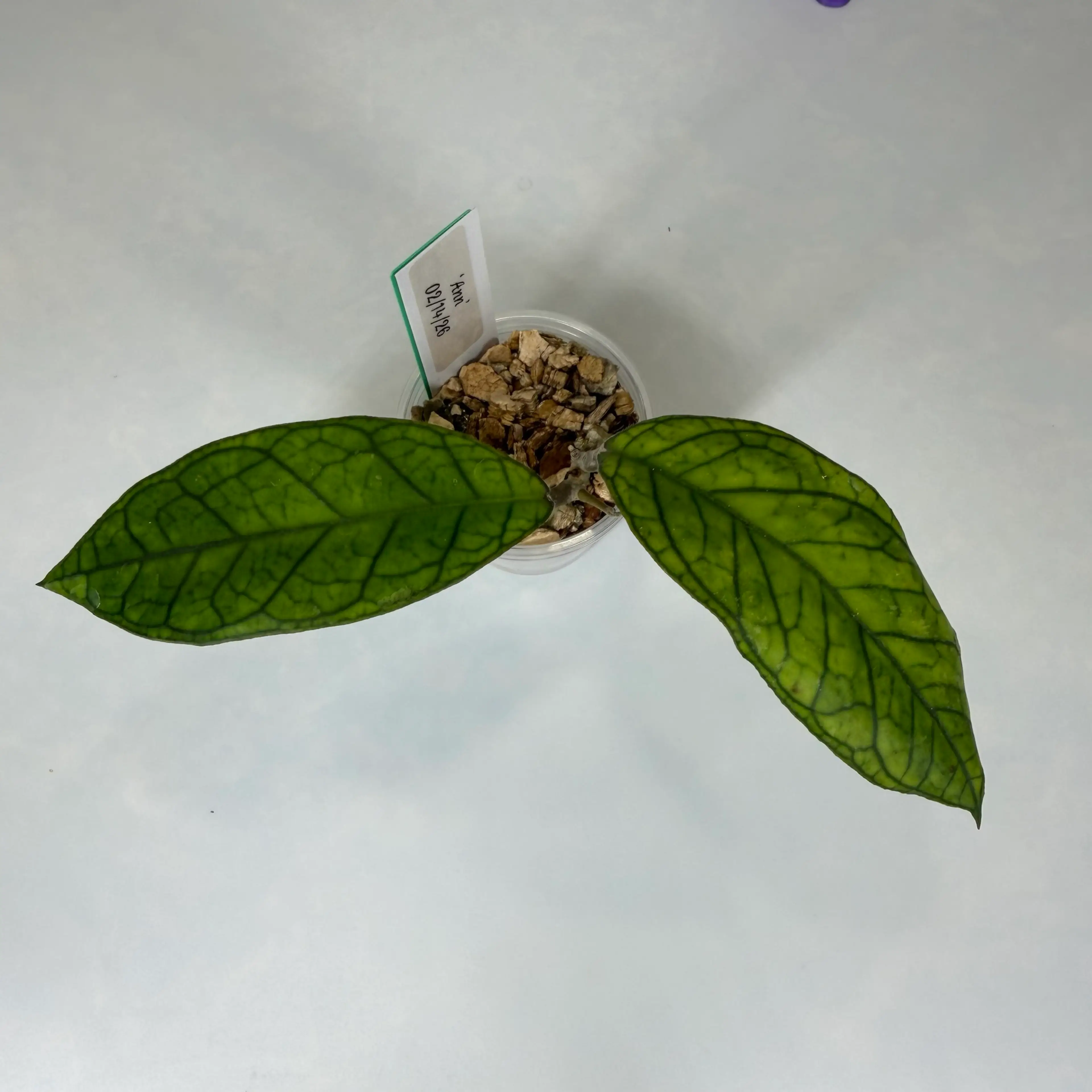 Image 2 of 3