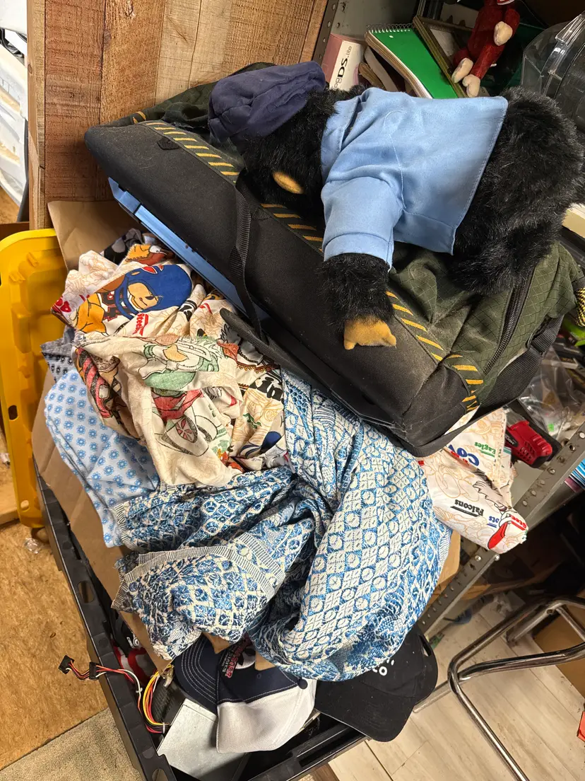 Livestream thumbnail