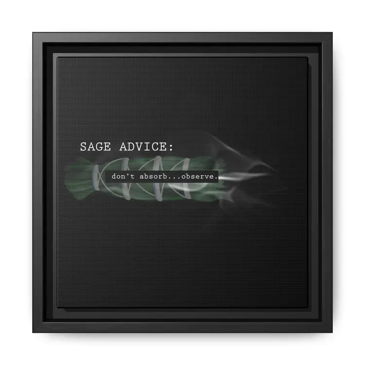 Sage Advice: don’t absorb...observe. – Framed 10x10 Canvas | Minimalist Wall Art for Boundaries + Stillness (FSC-certified wood) | International Shipping Available