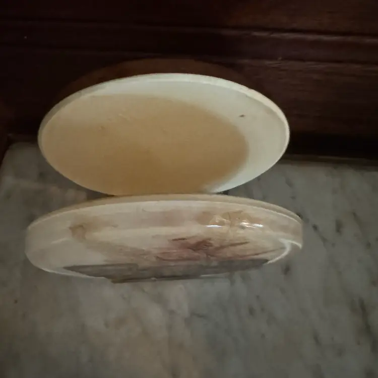 Vintage Colorflo '70s Cottage Core Lucite Napkin Holder