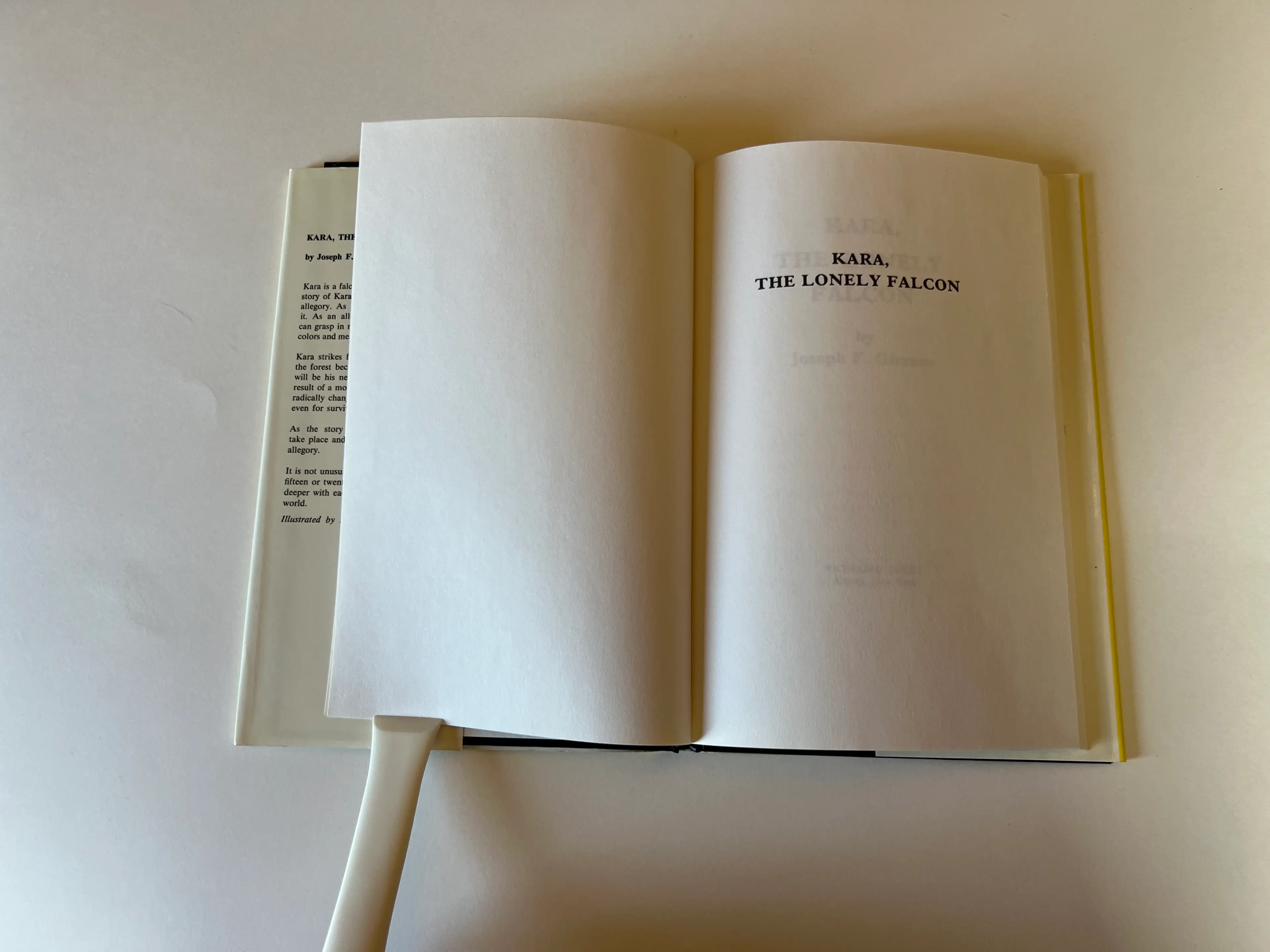 Image 4 of 9