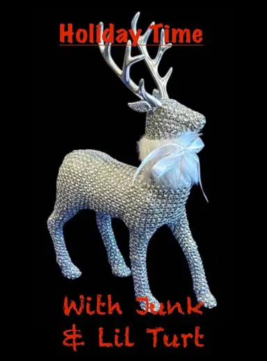 Merry Christmas W/ Lil' Turt & Junk🎄