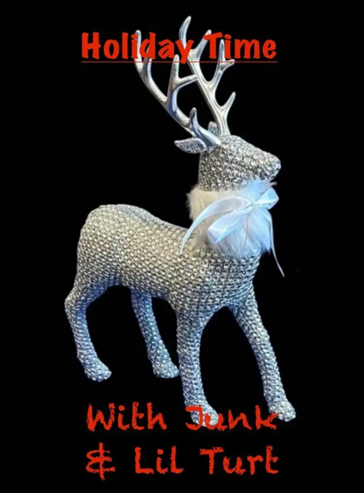 Merry Christmas W/ Lil' Turt & Junk🎄