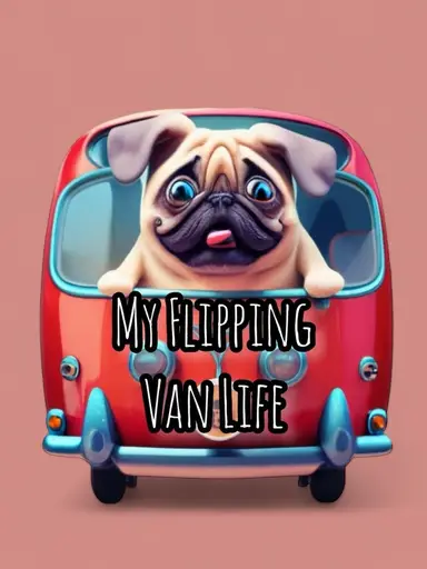 Jewelry Finds From Florida!!! Brooches Bakelite & More!